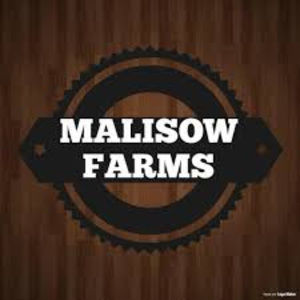 Meet your Posher, Zach